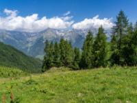 Italien - Klaussee - Weiter bergan an Almwiesen und letzten Bäumen vorbei